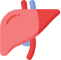 Native liver mobilization