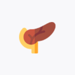 Pancreatic-transplant-alone