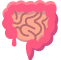 Removal of the intestine