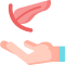 Transplant