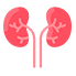 nephrology1