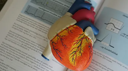 Echocardiography: The Modern Stethoscope That Helps Doctors See Your Heart
